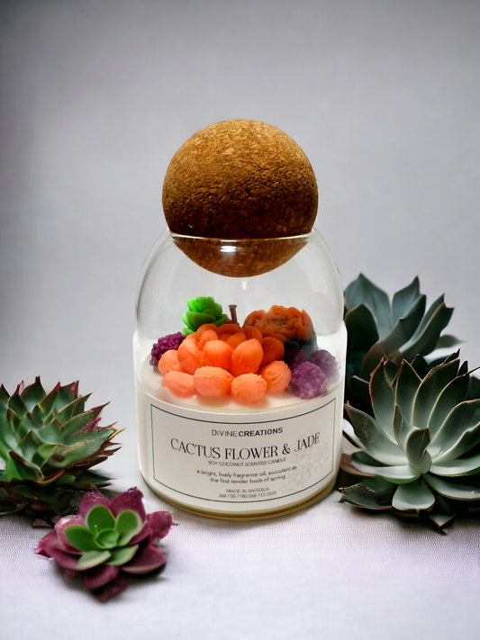 Cactus Flower & Jade Terrarium Candle